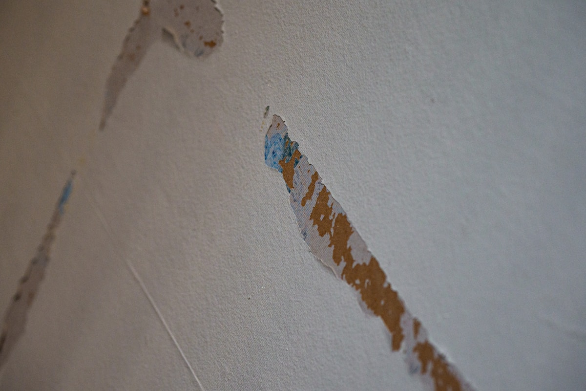 Storm Damage Repair service in Broomfield, CO